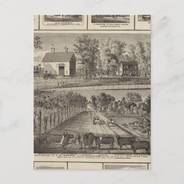 Cartão Postal Residências e empresas em Muscatine (Frente)