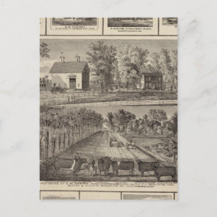 Cartão Postal Residências e empresas em Muscatine