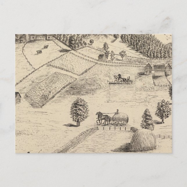 Cartão Postal Residências e fazendas em New Haven (Frente)