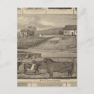 Cartão Postal Residências, edifícios e igrejas