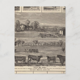 Cartão Postal Residências, fazendas, empresas em W Liberdade, A