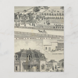 Cartão Postal Residências florestais, fazendas