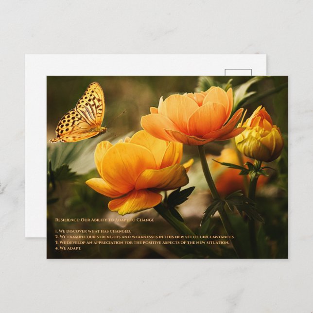 Cartão Postal Resiliência (Frente/Verso)
