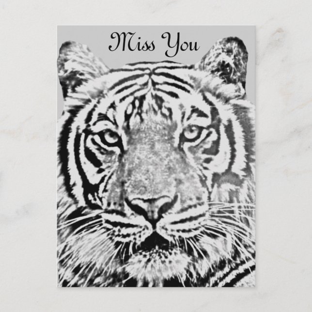 Cartão Postal Resistência do Tigre_ (Frente)