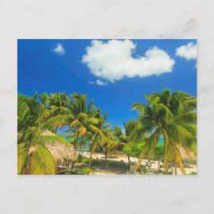Cartão Postal Resort de praia tropical, Belize
