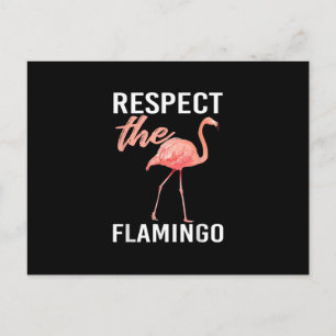Cartão Postal Respeite O Flamingo Amante Engraçado De Flamingo
