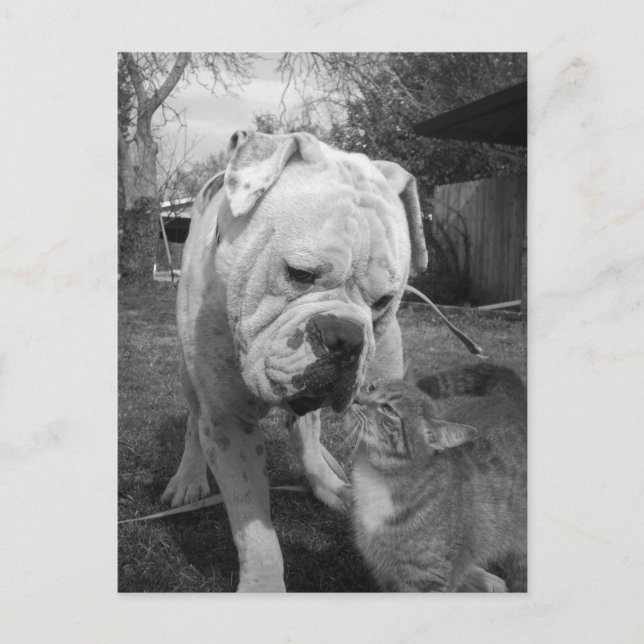 Cartão Postal respeito (Frente)