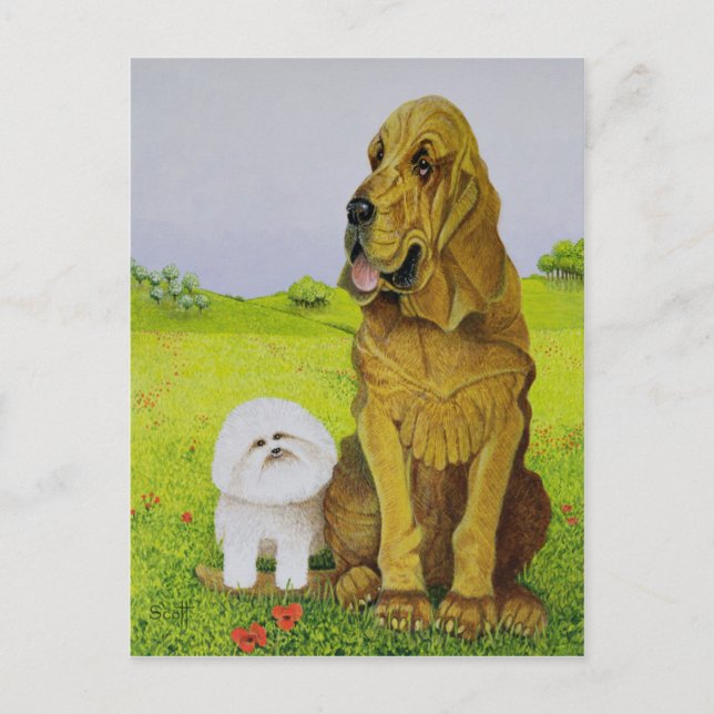 Cartão Postal Responsável (Frente)