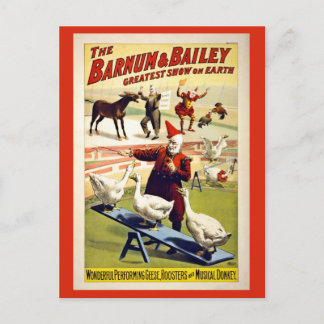 Cartão Postal Restaurados, Barnum e Bailey, gansos e burros