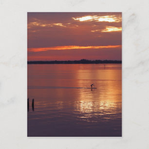 Cartão Postal Retorna o Cartaz do Paddle Nocturno