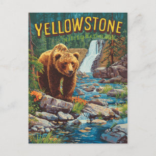 Cartão Postal Retorno Yellowstone - Urso Grizzly e Água