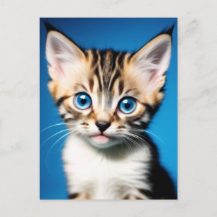 Cartão Postal Retrato Adorável de Kitten com Belos Olhos Azuis