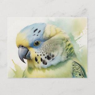 Cartão Postal Retrato Bugerigar Pastel em Aquarela