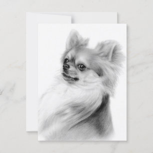 Cartão Postal Retrato Chihuahua pintado Pintado Pela Mão