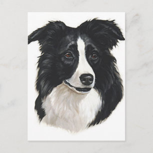 Cartão Postal Retrato Collie de Borda