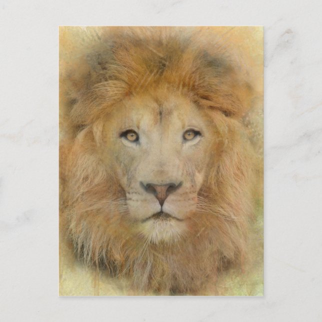 Cartão Postal Retrato de Aquarela Lion Afro (Frente)