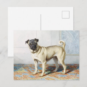 Cartão Postal Retrato de Cachorro Pug Real por Conradijn Cunaeus