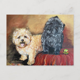 Cartão Postal Retrato de Cairn Terrier