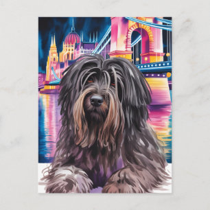Cartão Postal Retrato de Cão Desgrenhado no Cenário Noturno de B