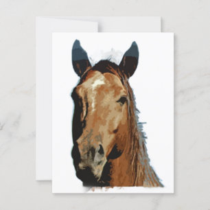 Cartão Postal Retrato de Cavalo