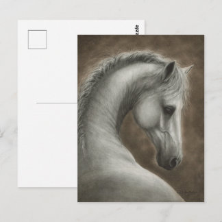 Cartão Postal Retrato de Cavalo Branco Pintado à Mão