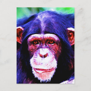 Cartão Postal Retrato de Chimpanzé