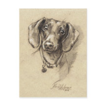 Retrato de Dachshund