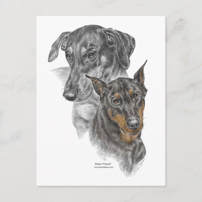 Cartão Postal Retrato de Dois Dobermans (Frente)