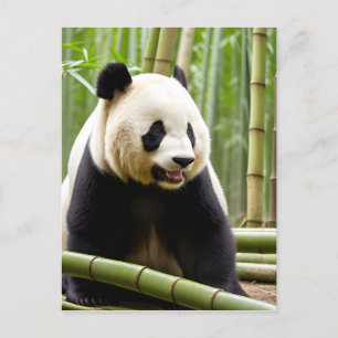 Cartão Postal Retrato de Fechamento de um Panda