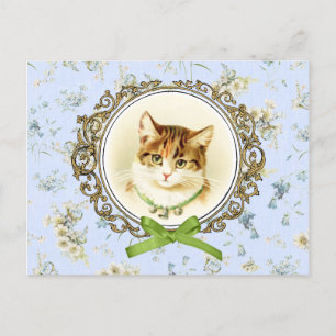 Cartão Postal Retrato de gato vintage doce