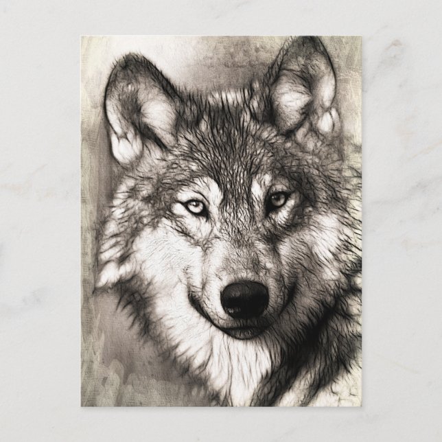 Cartão Postal Retrato de lobo (Frente)