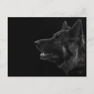 Cartão Postal Retrato de um cão german shepherd