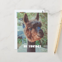 Retrato de uma alpaca castanha