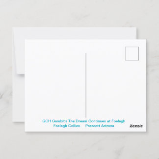 Cartão Postal Retrato de uma Collie de Aranha