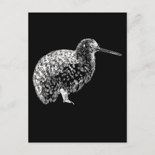Cartão Postal Retrato do Pássaro Kiwi Animal da Nova Zelândia