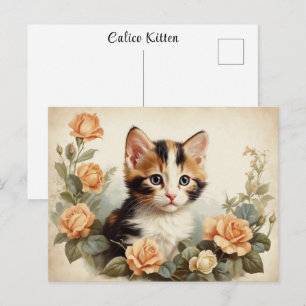 Cartão Postal Retrato Fofo de Gatinho Calico Vintage Flores Doce