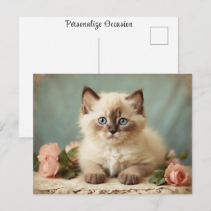 Cartão Postal Retrato Fofo de Gatinho Ragdoll Vintage Flores Doc