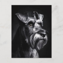 Retrato Monocromático de Schnauzer
