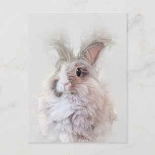 Cartão Postal Retrato natural do coelho anão Angora