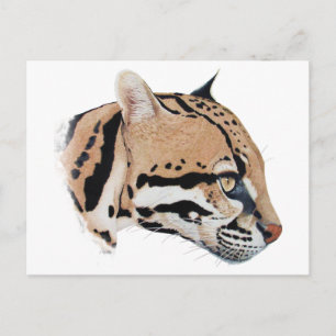 Cartão Postal Retrato Ocelot