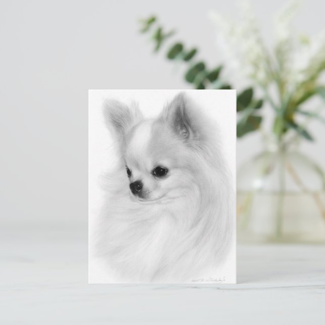 Cartão Postal Retrato Pintado à Mão de Chihuahua Pronto (Em pé/Frente)