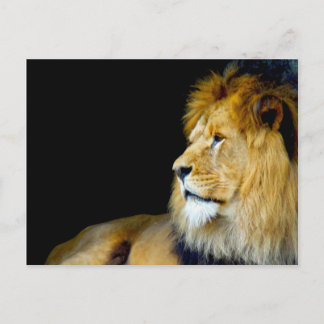 Cartão Postal Retrato Real