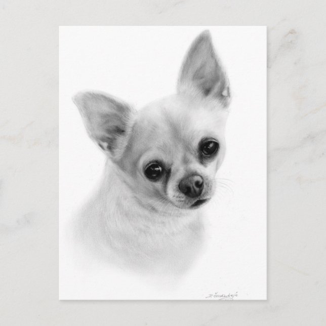 Cartão Postal Retrato Realista Chihuahua - Pintura a Petróleo (Frente)
