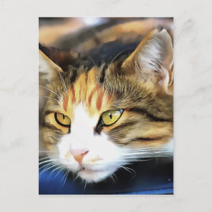 Cartão Postal Retrato Realista de Pet Realista do Calico Olhado