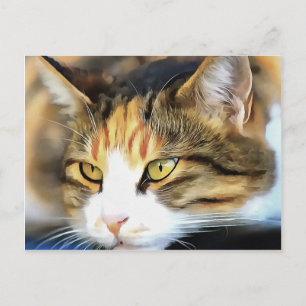 Cartão Postal Retrato Realista de Pet Realista do Calico Olhado