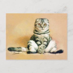 Cartão Postal Retrato Sentado De Gato Escocês