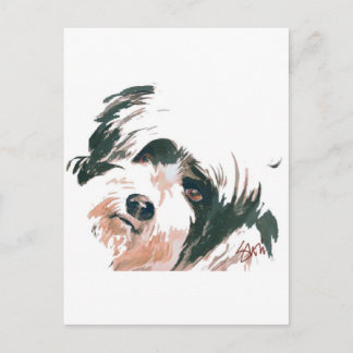 Cartão Postal Retrato Terrier tibetano