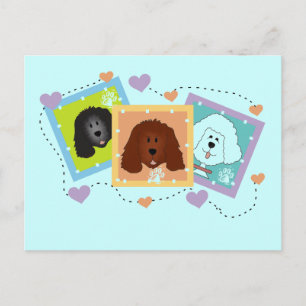 Cartão Postal Retratos de Cachorro Camisetas e presentes