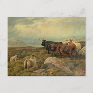 Cartão Postal Retribuição