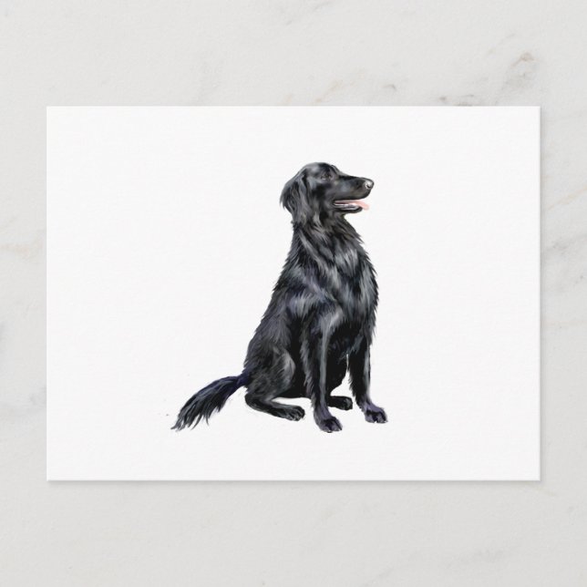 Cartão Postal Retriever de Capa Lisa (B) (Frente)